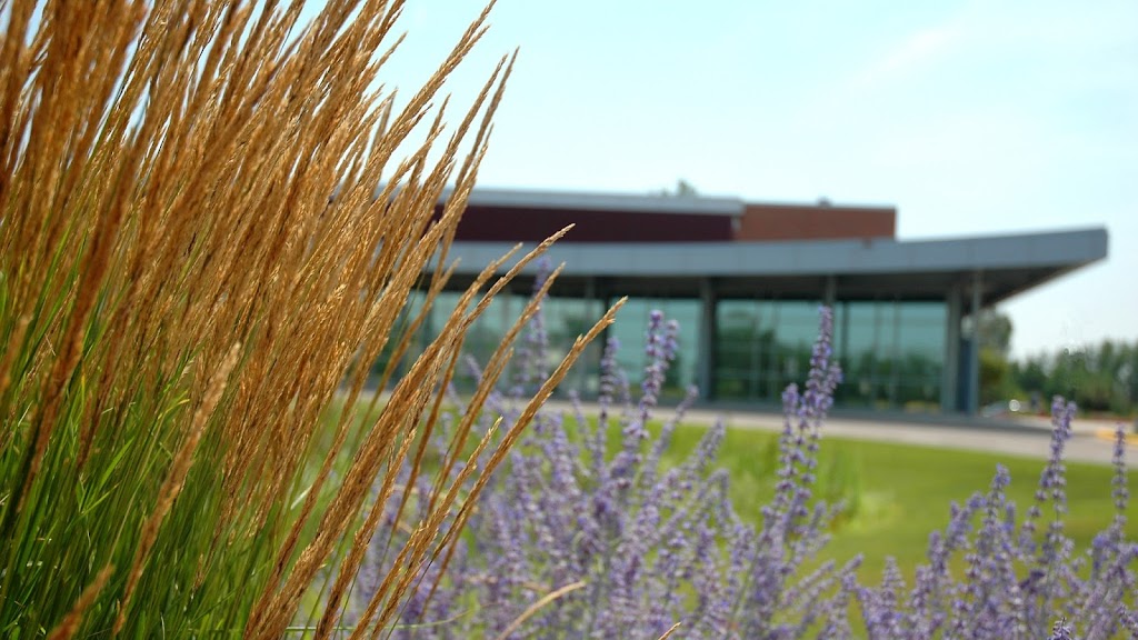Church of the Open Door | 9060 Zanzibar Ln N, Maple Grove, MN 55311, USA | Phone: (763) 416-5887