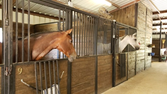 Homeward Farms | 5807 Pepperport Ln, Lewisville, TX 75022, USA | Phone: (817) 875-3520