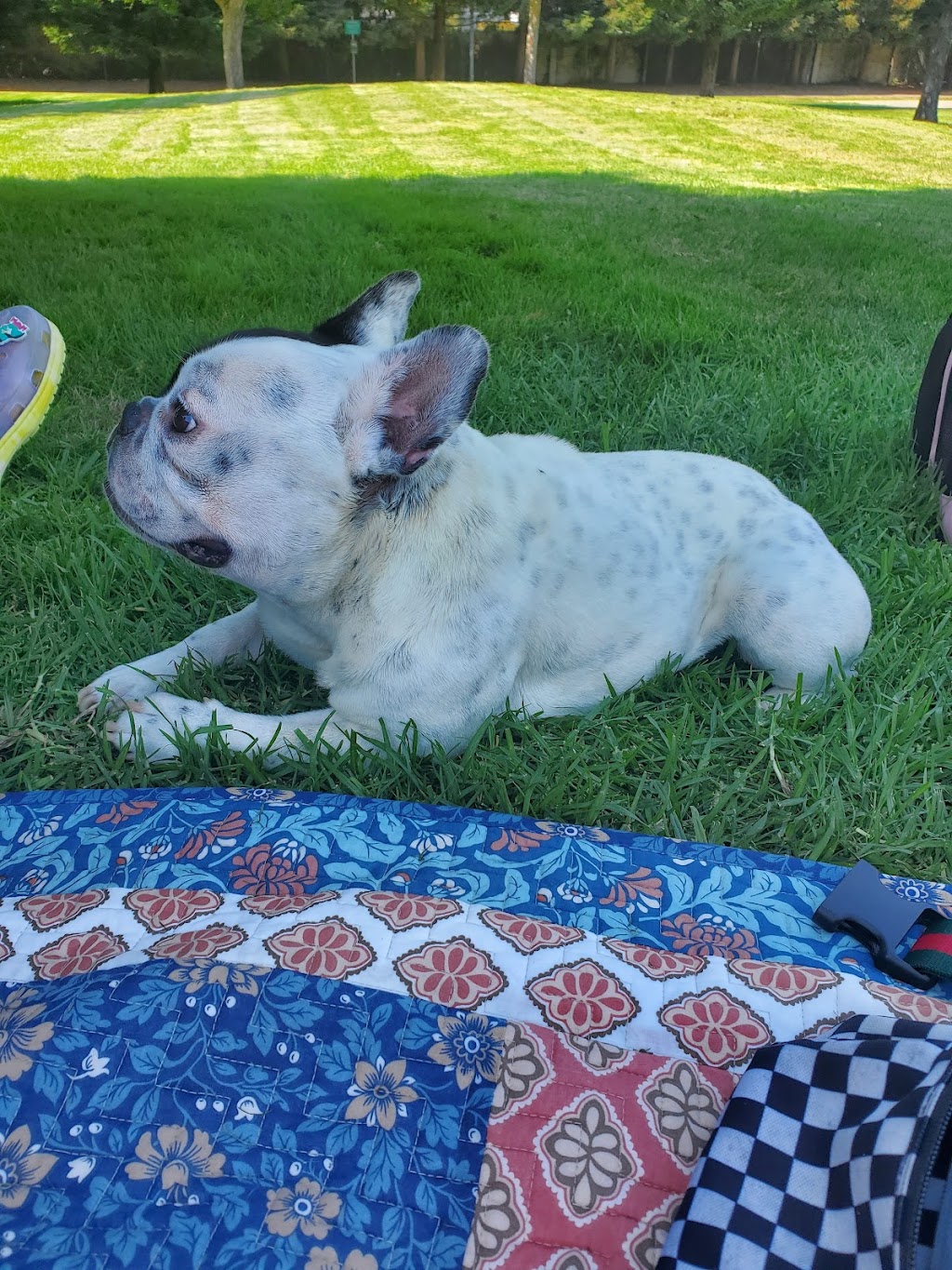 Halcyon Park | 1245 147th Ave, San Leandro, CA 94578, USA | Phone: (510) 577-3462