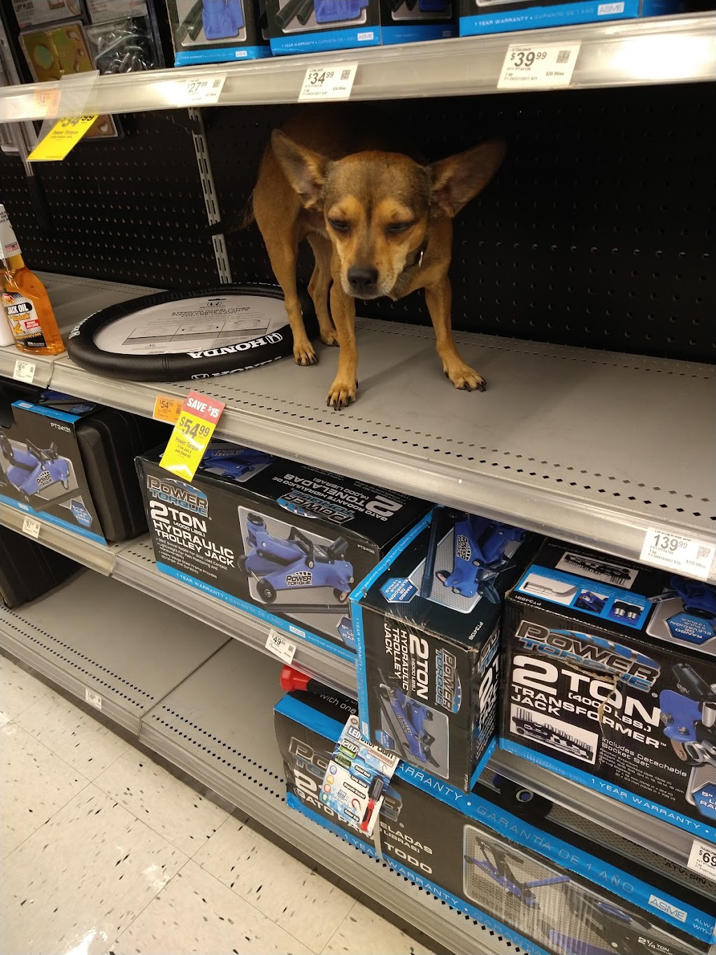 OReilly Auto Parts | 13710 W Waddell Rd, Surprise, AZ 85379, USA | Phone: (623) 544-9560