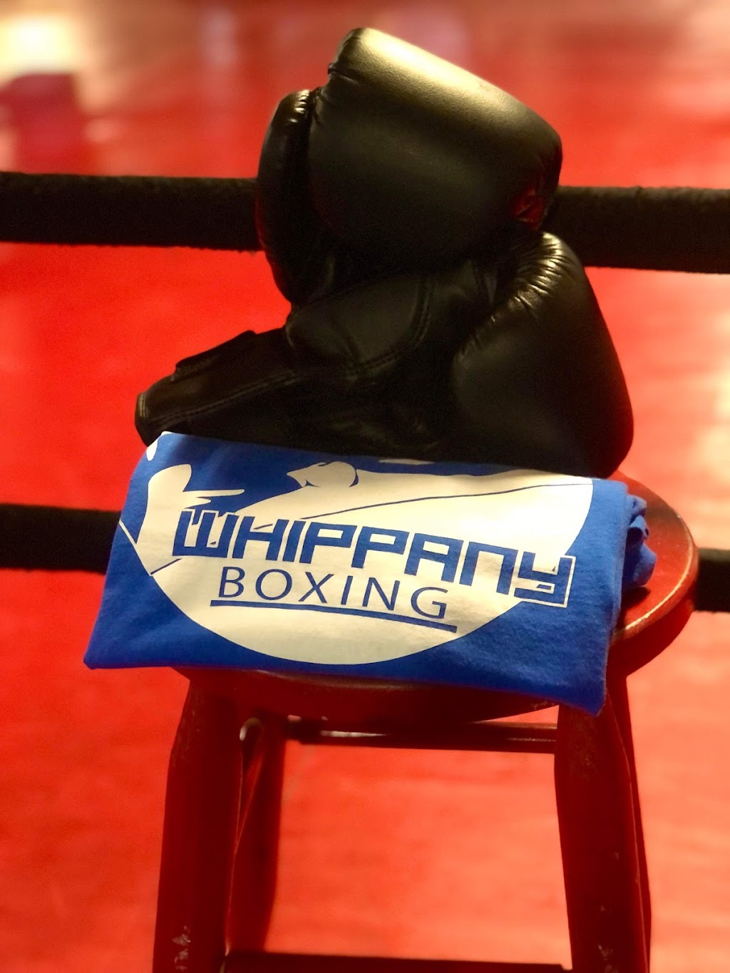 Whippany Boxing | 49 Eagle Rock Ave, East Hanover, NJ 07936, USA | Phone: (973) 557-5982