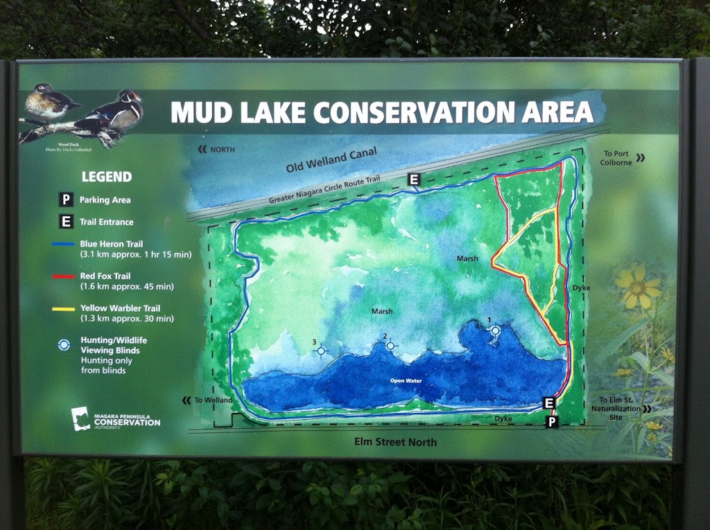 Mud Lake Conservation Area | 3031 Elm St, Port Colborne, ON L3B 5K7, Canada | Phone: (905) 788-3135
