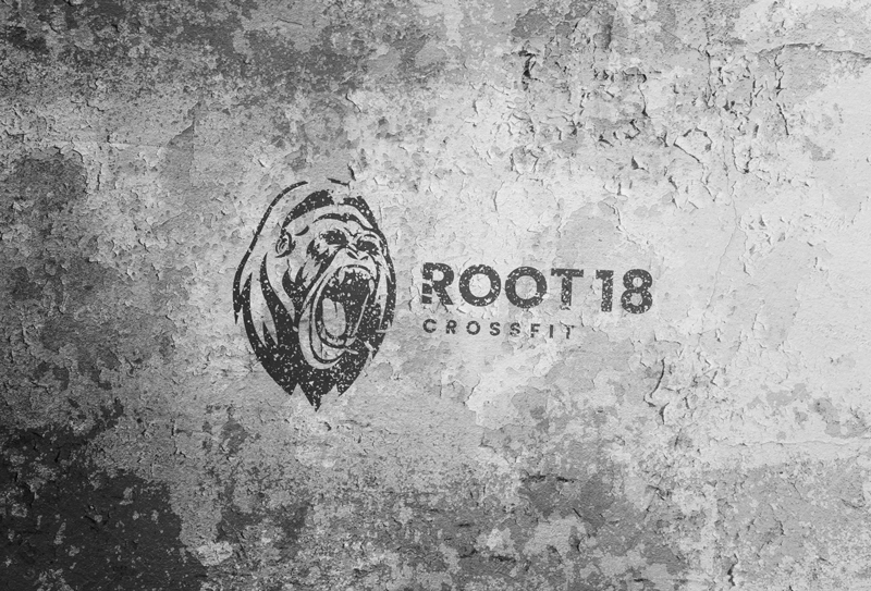 Root 18 CrossFit | 600 W Liberty St, Medina, OH 44256, USA | Phone: (330) 892-8984