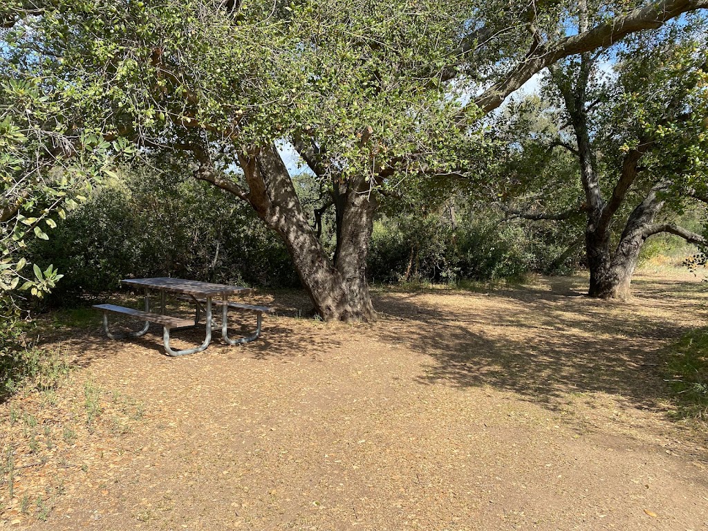 Owl & Quail Group Campground at Caspers Wilderness Park | 33401 Ortega Hwy., San Juan Capistrano, CA 92675, USA | Phone: (949) 923-2210