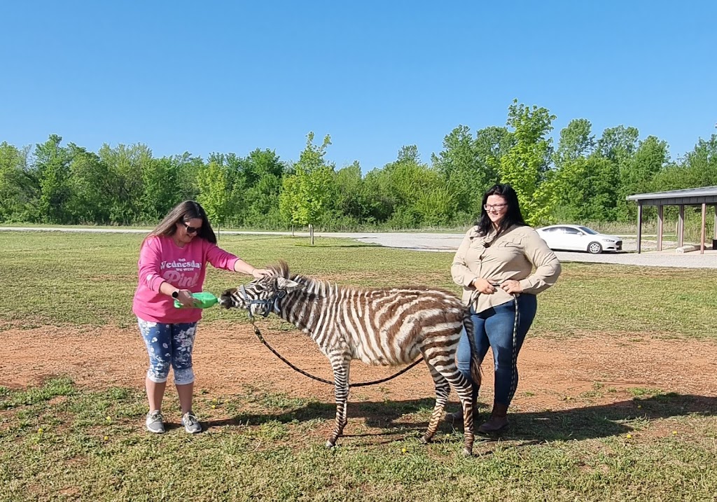 Tiger Safari Zoological Park | 963 County Street 2930, Tuttle, OK 73089, USA | Phone: (405) 381-9453