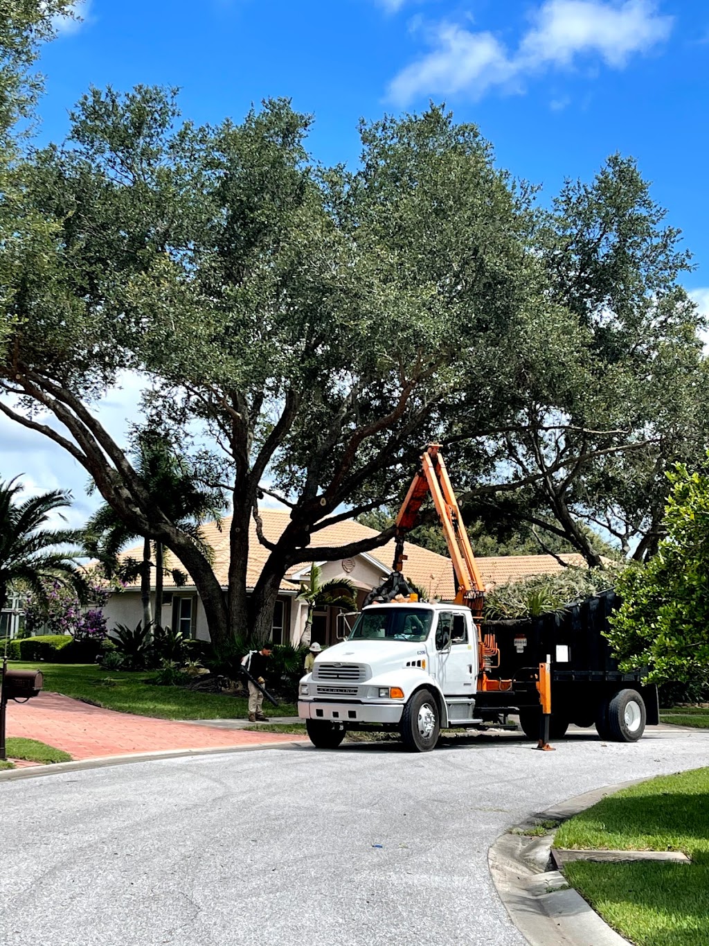 Troyer Tree Service | 6742 Richardson Rd, Sarasota, FL 34240, USA | Phone: (941) 371-7452