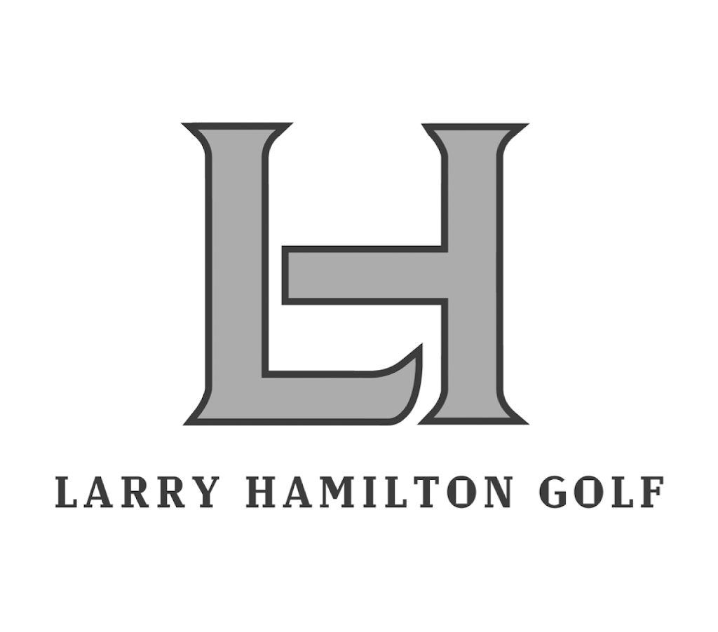 Larry Hamilton Golf | 232 South St, Rochester, MI 48307, USA | Phone: (248) 605-2201