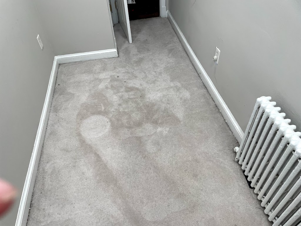 Terry & Sons Carpet Cleaning | 4415 Norfen Rd, Halethorpe, MD 21227, USA | Phone: (443) 826-1517