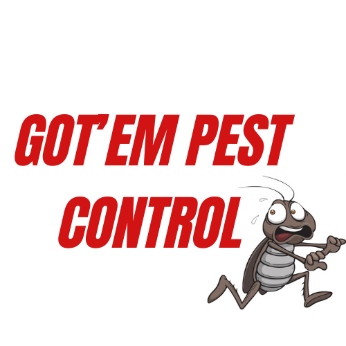 Gotem pest control | 108 Cavalier Rd, Winter Haven, FL 33880, USA | Phone: (863) 287-8298