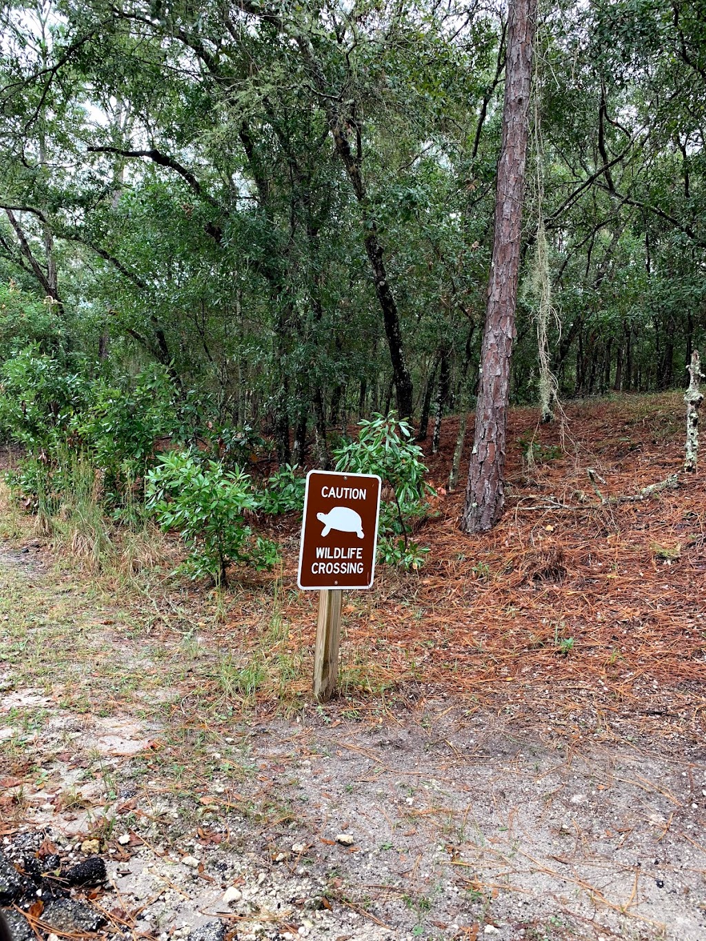 Fort Clinch State RV Park - Atlantic Beach Campground | Fort Clinch Rd, Fernandina Beach, FL 32034, USA | Phone: (904) 277-7274