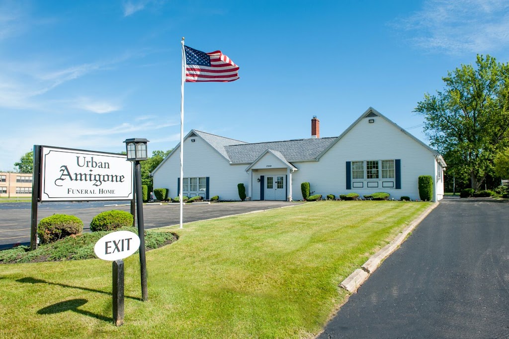 Amigone Funeral Home and Cremation Services | 7540 Clinton St, Elma, NY 14059, USA | Phone: (716) 836-6500