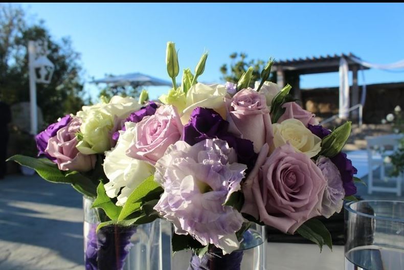 The Flower Shop | 2682 Mowry Ave, Fremont, CA 94538, USA | Phone: (510) 793-6200