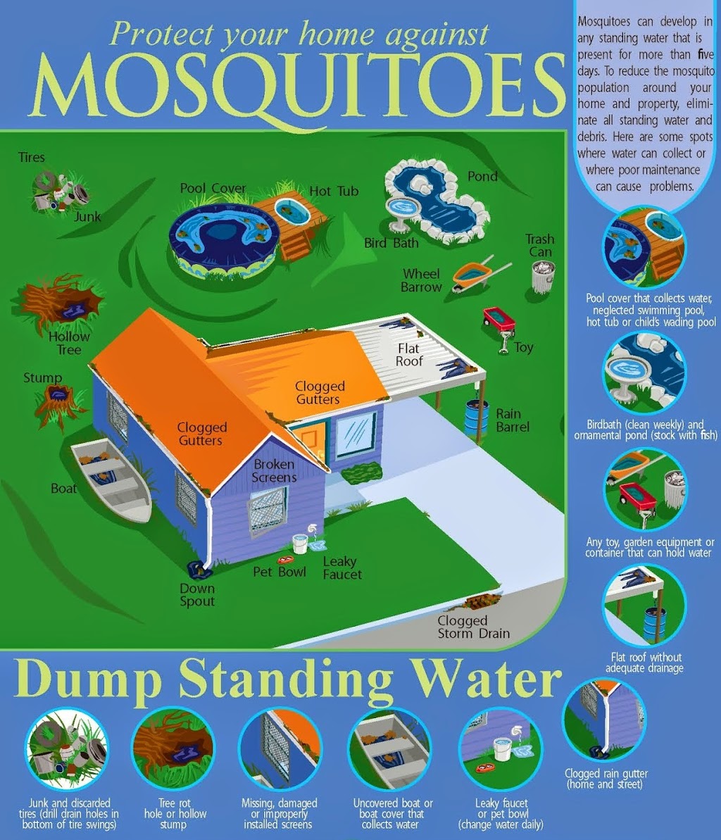 Mosquito Masters Of Florida | 9004 Grosse Pointe Cir, Tampa, FL 33635, USA | Phone: (813) 340-2688
