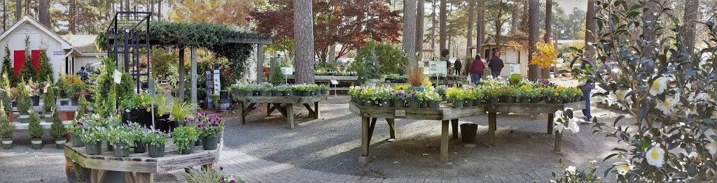 Homewood Nursery & Garden Center | 10809 Honeycutt Rd, Raleigh, NC 27614, USA | Phone: (919) 847-0117