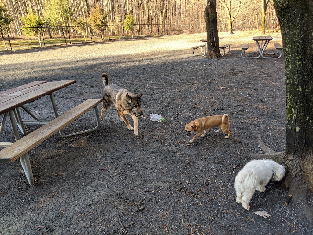 Dog Park in Wheaton Regional Park | 11710 Orebaugh Ave, Wheaton, MD 20902, USA | Phone: (301) 495-2595