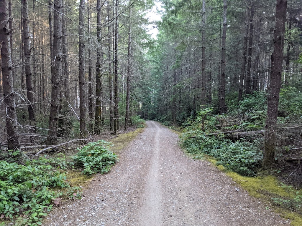 Port Gamble Forest Heritage Park | Olympic Resources Trails, Kingston, WA 98346, USA | Phone: (360) 337-5350