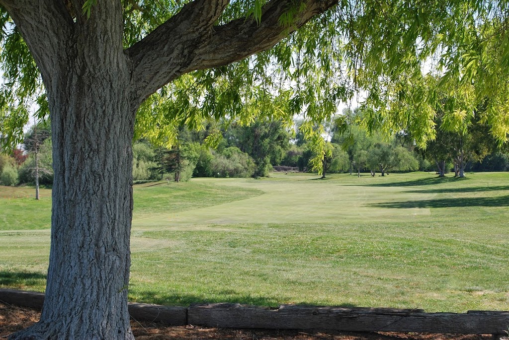 Jack Tone Golf | 1500 Ruess Rd, Ripon, CA 95366, USA | Phone: (209) 599-2973