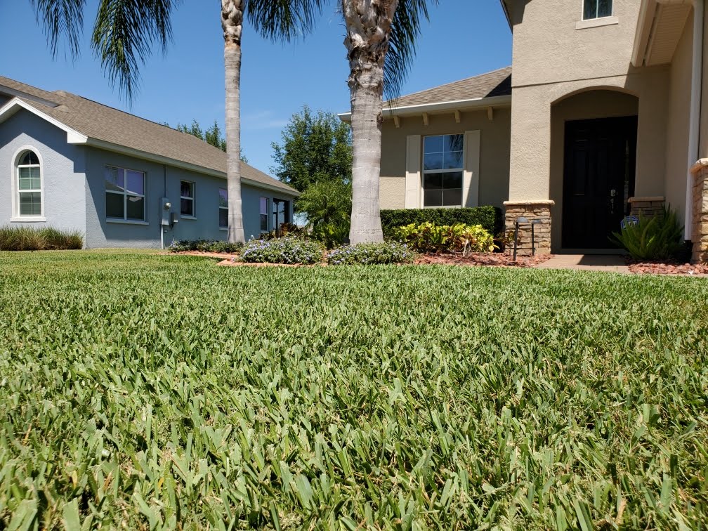 Indoor Pest Control, Sarasota Bradenton, Your Green Team 2709