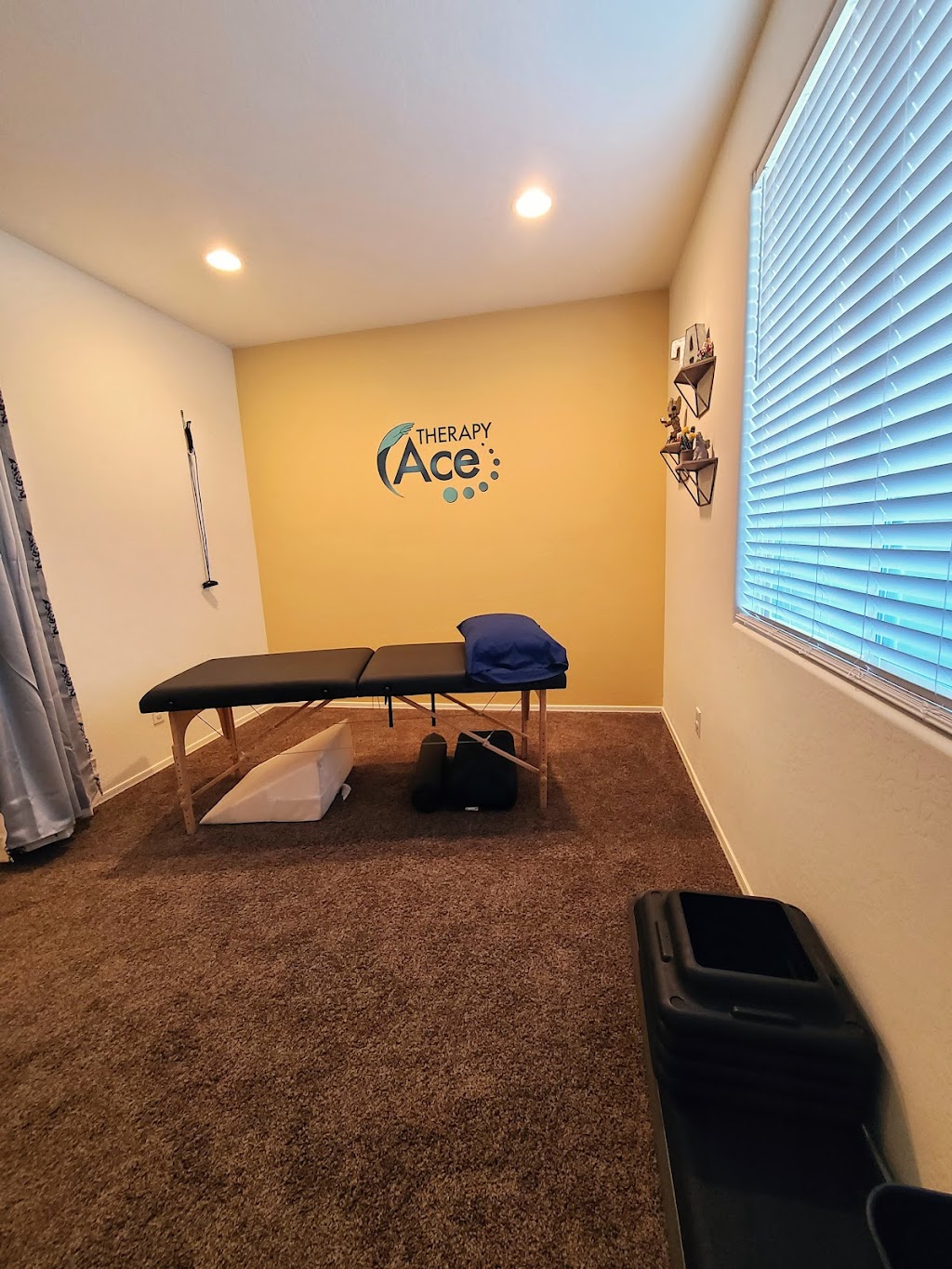 Therapy Ace | 2603 E Saddlebrook Rd, Gilbert, AZ 85298, USA | Phone: (480) 691-7174