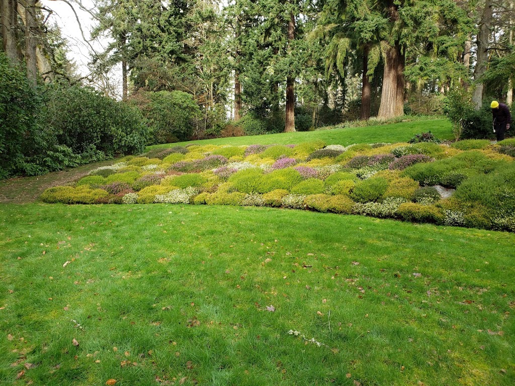 Dunn Gardens | 13533 Northshire Rd NW, Seattle, WA 98177, USA | Phone: (206) 362-0933