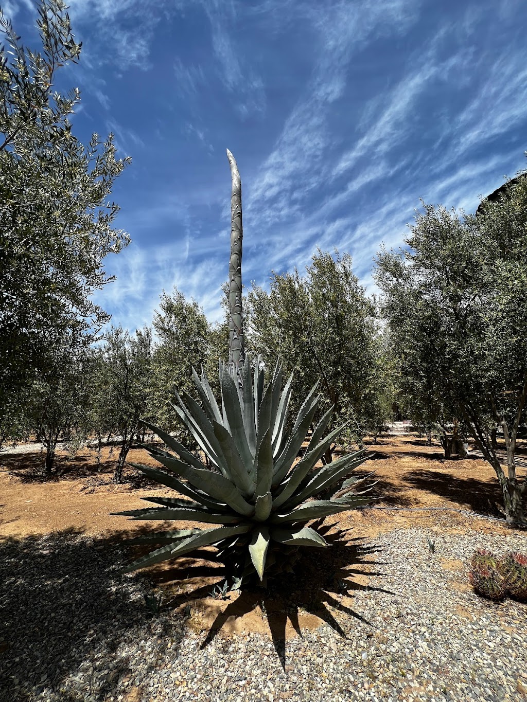 Vinya Abril | Valle de Guadalupe, Parcela 52-B, Col. El Porvenir, 22755 Ensenada, B.C., Mexico | Phone: 664 188 2982