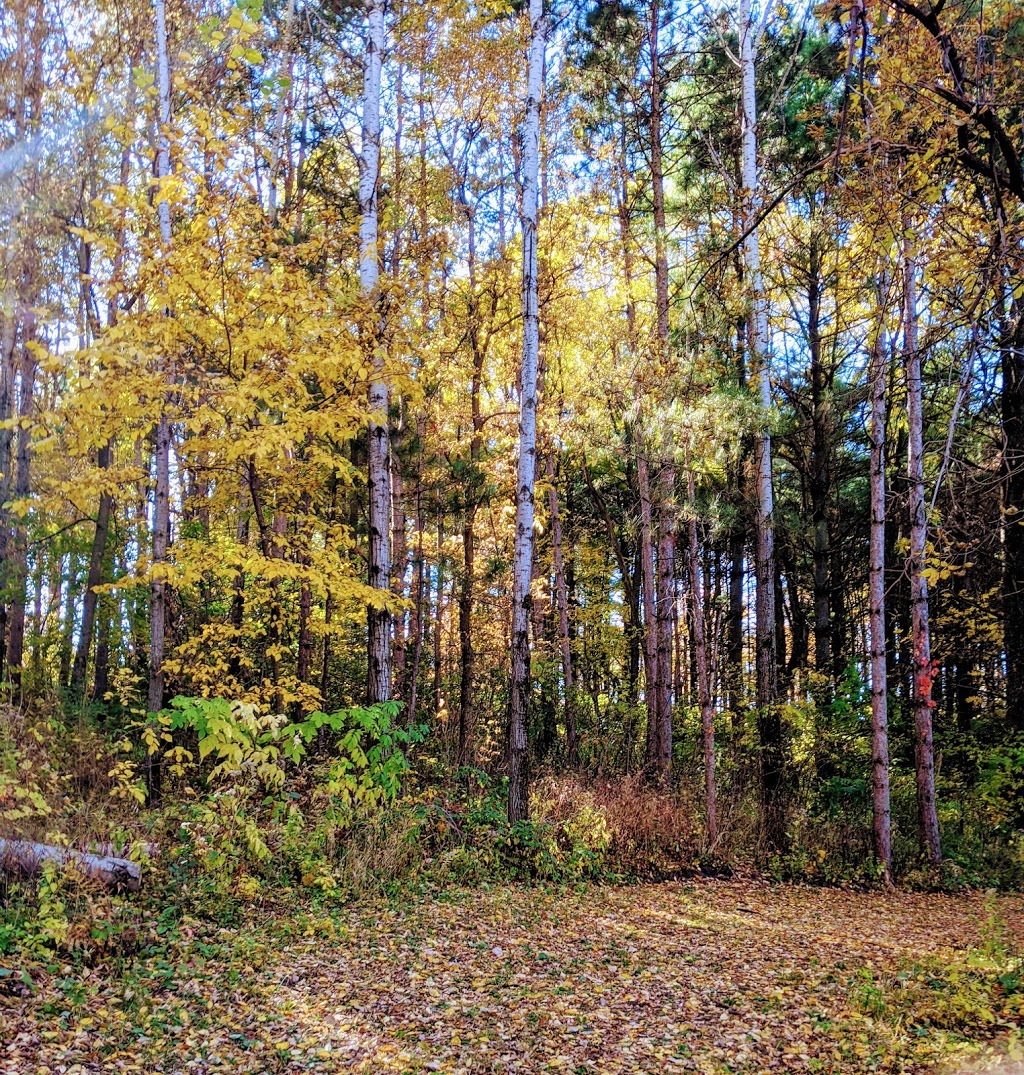 Whitetail Woods Regional Park | 17100 Station Trail, Farmington, MN 55024, USA | Phone: (952) 891-7000