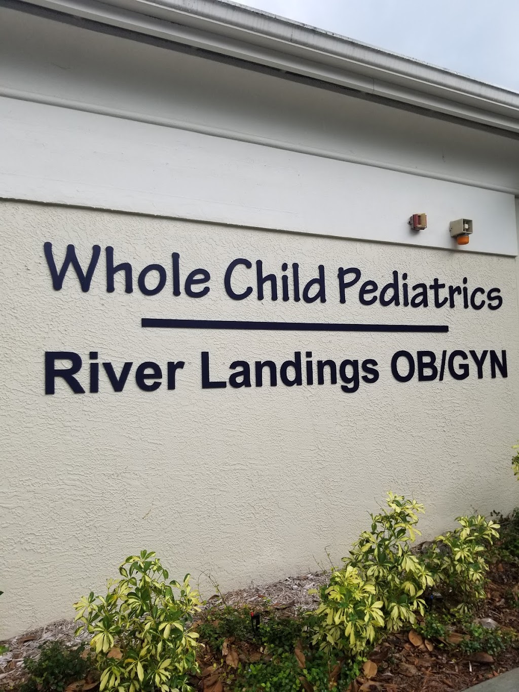 Whole Child Pediatrics | 6040 53rd Ave E Suite B, Bradenton, FL 34203, USA | Phone: (941) 366-2273