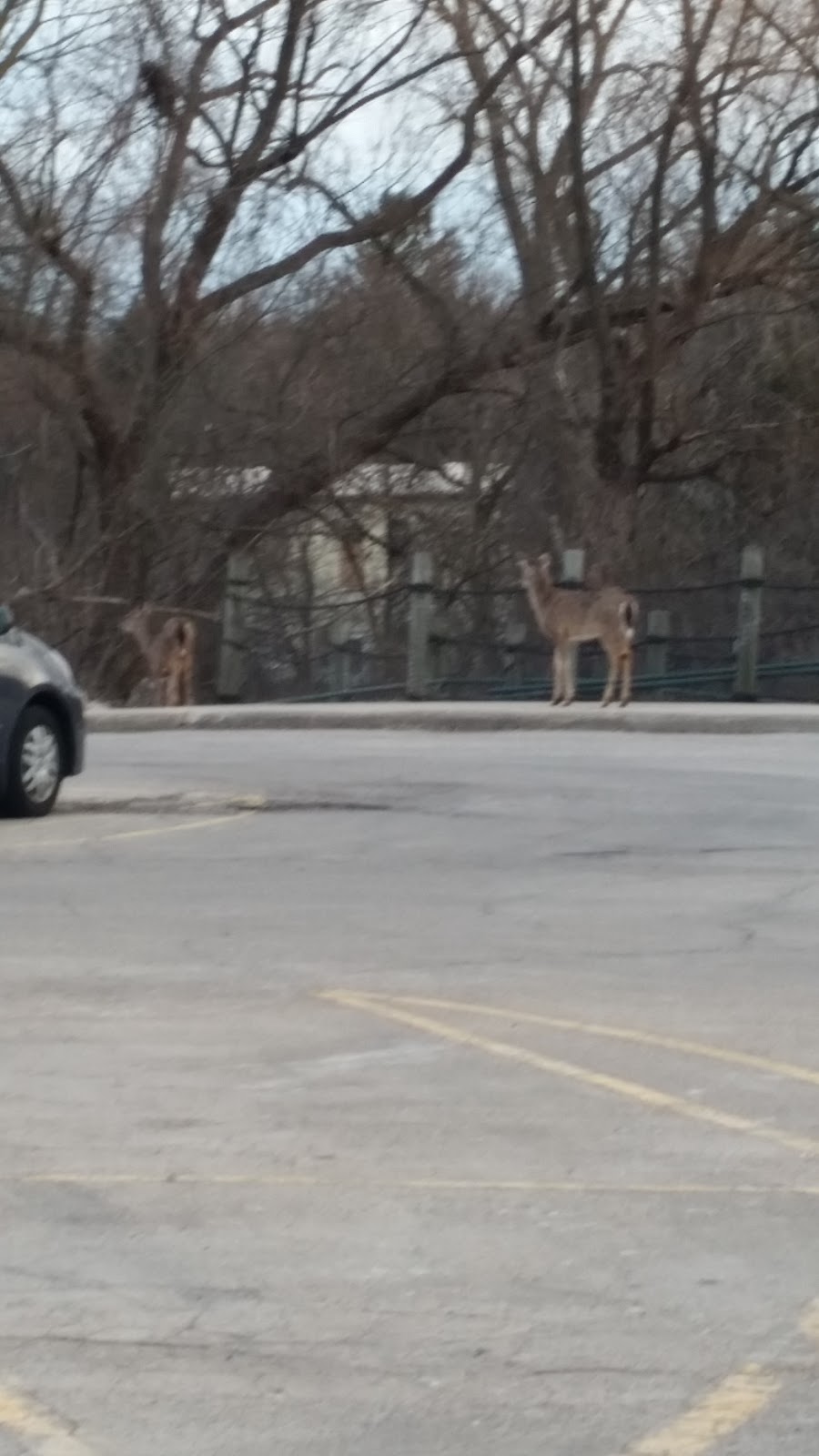 Pirates’ Hollow Community Waterpark | 201 N Webster St, Port Washington, WI 53074, USA | Phone: (262) 284-7679