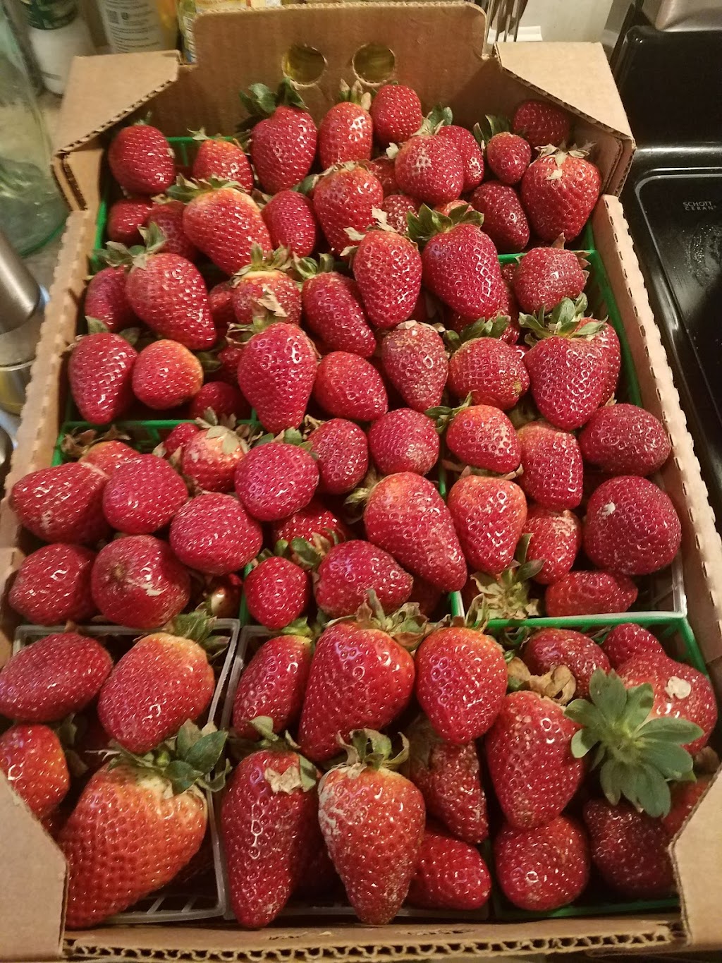 Glaser’s Produce Farm | Unnamed Road, New Roads, LA 70760, USA | Phone: (225) 618-9337