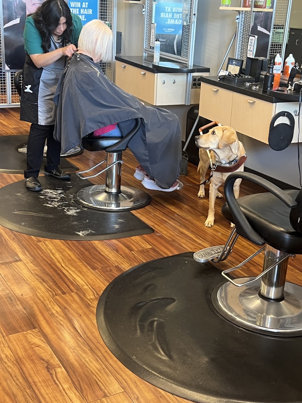 SUPERCUTS | 4865 N Ten Mile Rd STE 120, Meridian, ID 83646, USA | Phone: (208) 846-9680