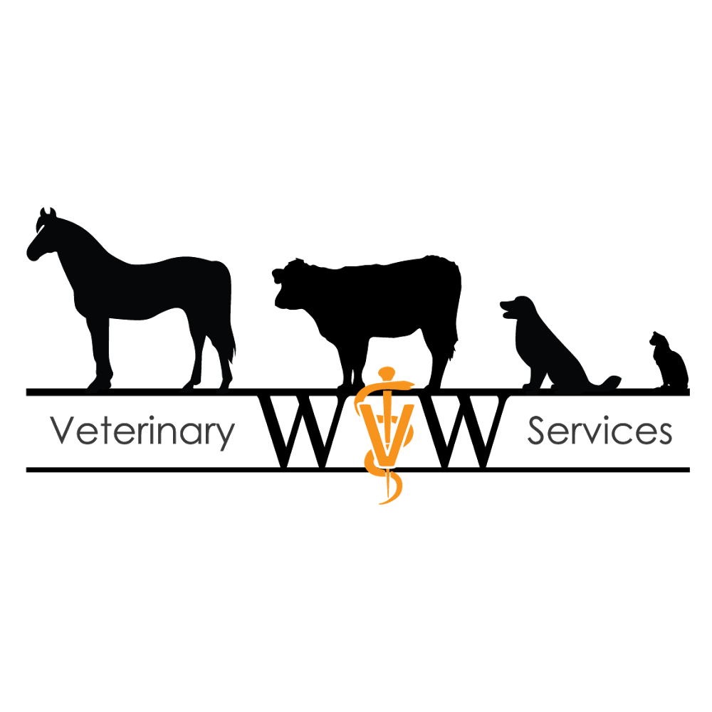 W&W Veterinary Services, PLLC | 3001 Irvine Rd, Richmond, KY 40475, USA | Phone: (859) 369-3699