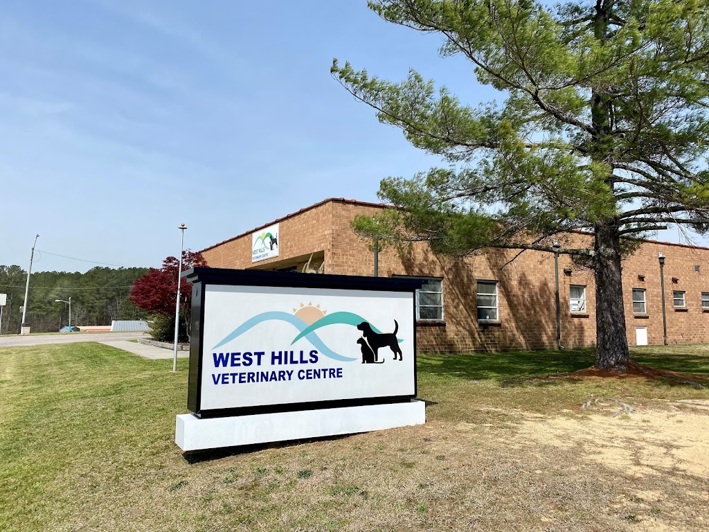 All Star Lettering | 9419 Ann St, Santa Fe Springs, CA 90670, USA | Phone: (562) 404-5995