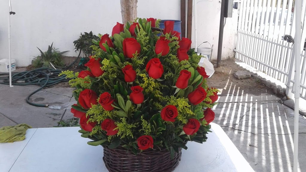Arteagas florería | J. R. Romero 92, Nueva Tijuana, 22435 Tijuana, B.C., Mexico | Phone: 664 776 2517