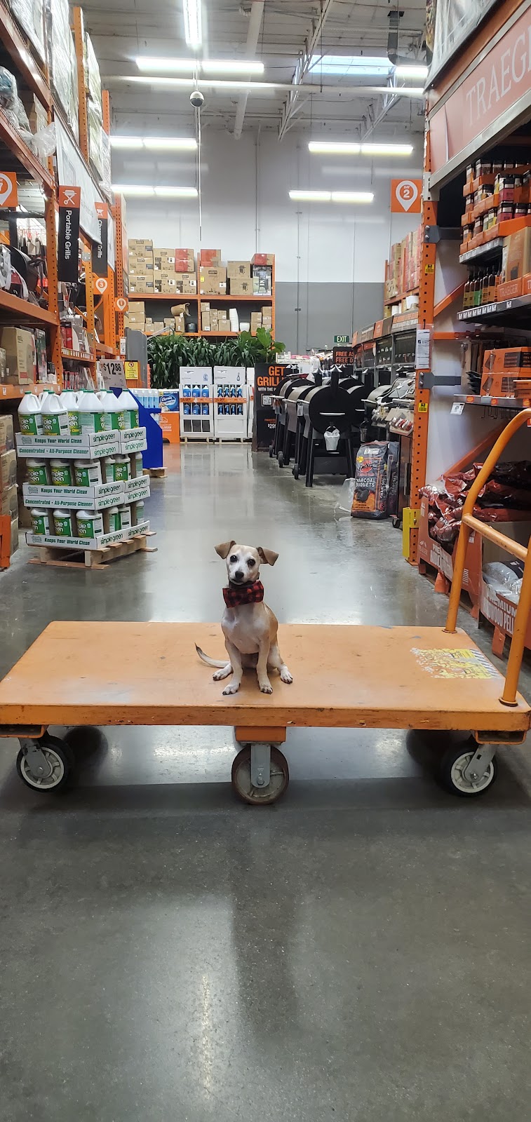 The Home Depot | 24332 El Toro Rd, Laguna Hills, CA 92637, USA | Phone: (949) 598-9171