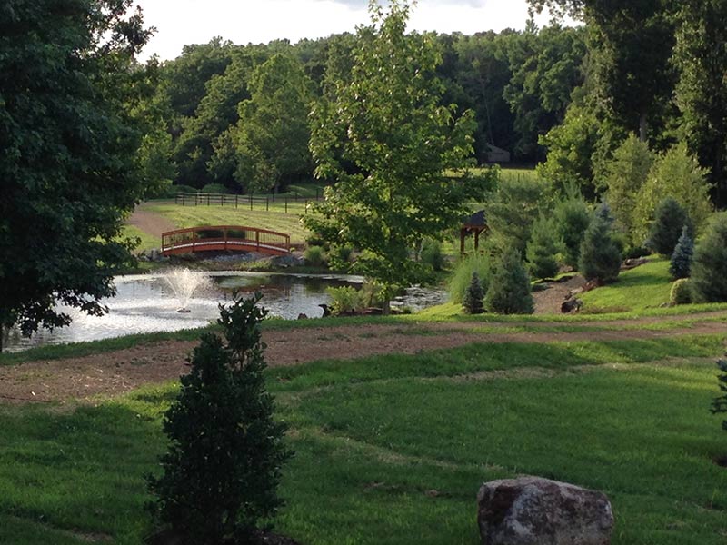 Paradise Ranch and Retreat | 2701 Bedwell Rd, Springfield, TN 37172, USA | Phone: (615) 382-7256