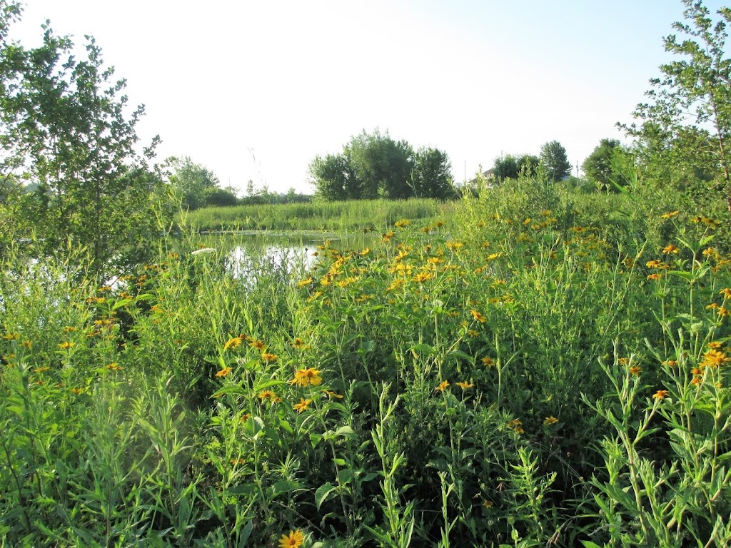 E. C. Brown Conservation Area, Wetland and Boat Launch | 536 River Rd, Fenwick, ON L0S 1C0, Canada | Phone: (905) 788-3135