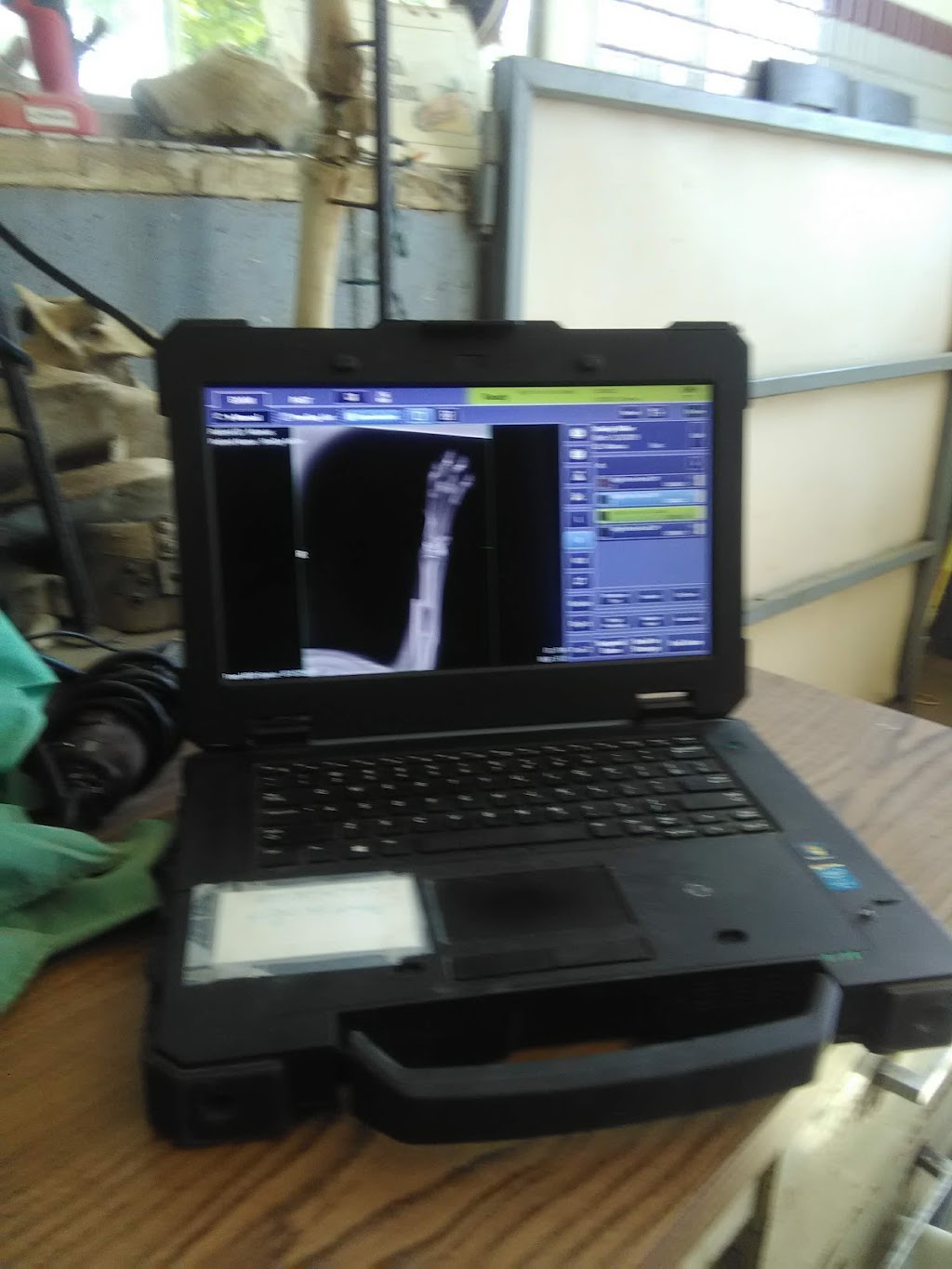 Clovis Equine Clinic | 8338 N Sunnyside Ave, Clovis, CA 93619 | Phone: (559) 299-1661