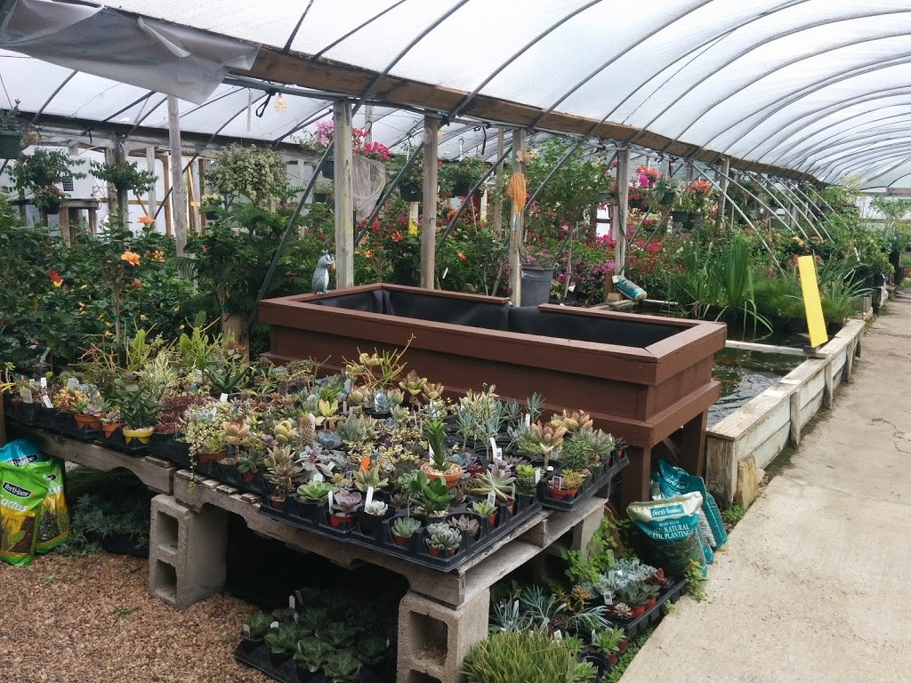 Turners Gardenland | 6503 S Padre Island Dr, Corpus Christi, TX 78412, USA | Phone: (361) 991-9002
