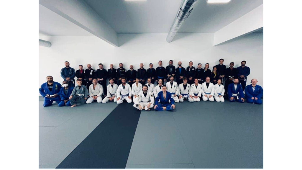 Sanctuary Jiu-Jitsu | 46 N Bryan St, Madison, WI 53714, USA | Phone: (608) 852-7405