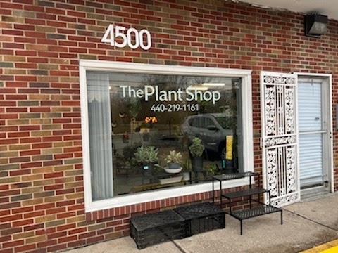 The Plant Shop | 728 Broadway, Lorain, OH 44052, USA | Phone: (440) 219-1161