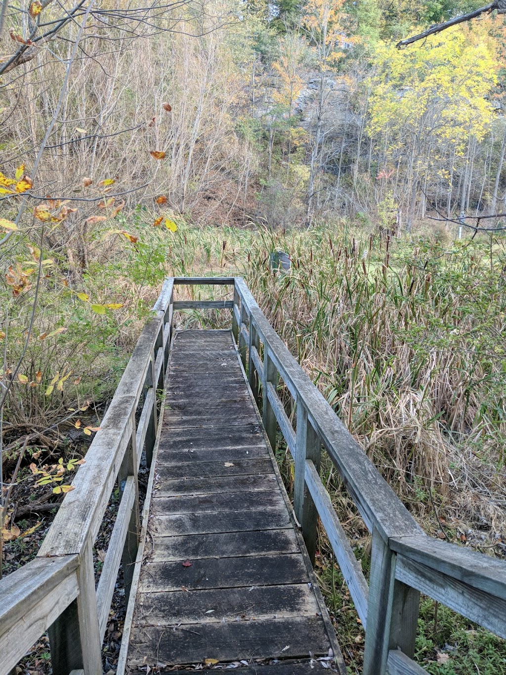 Clarence Escarpment Sanctuary | 9575 Greiner Rd, Clarence, NY 14031, USA | Phone: (716) 741-8927