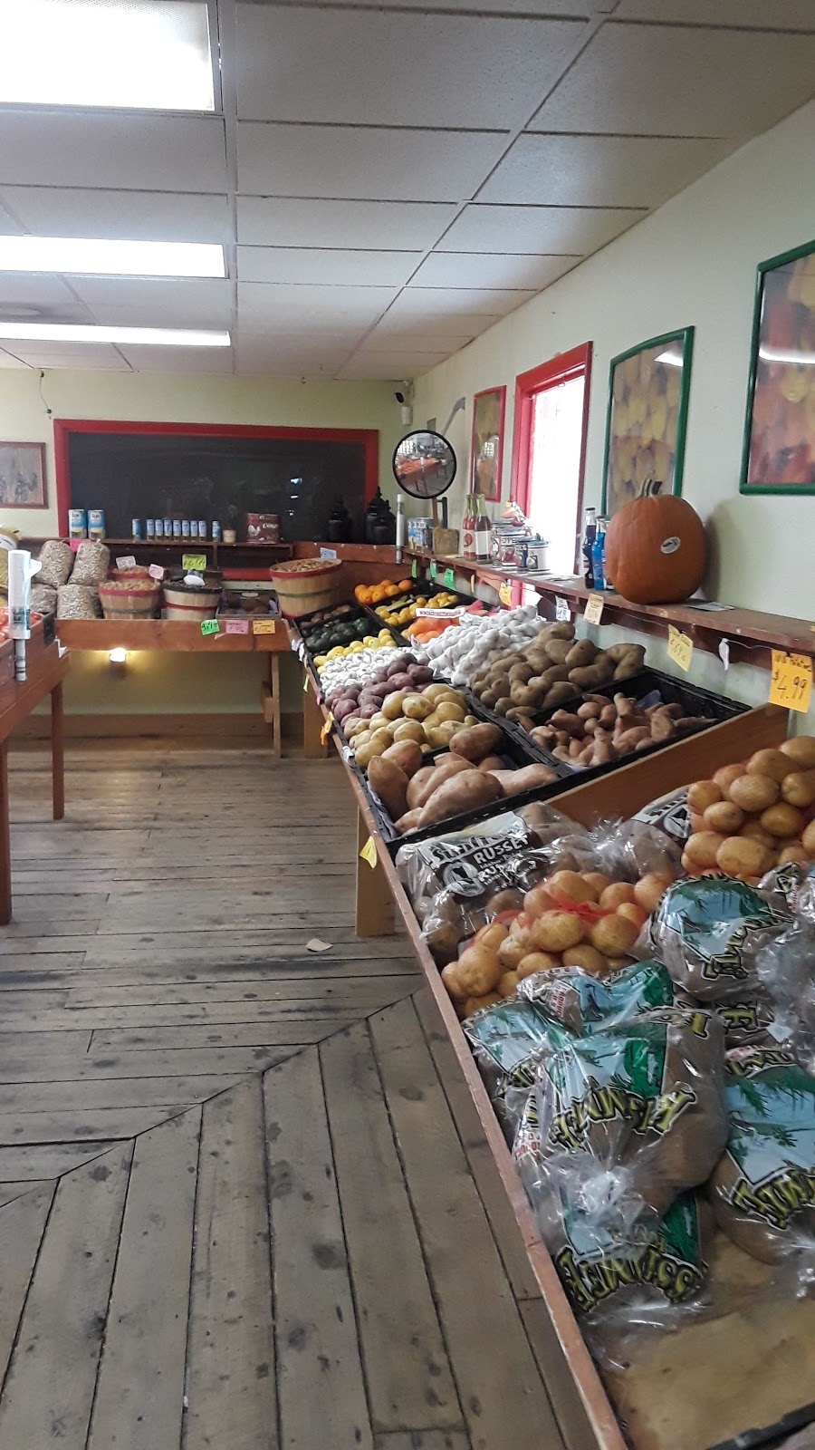 Red House Farmers Market | 3295 62nd Ave N, St. Petersburg, FL 33702 | Phone: (727) 329-6958