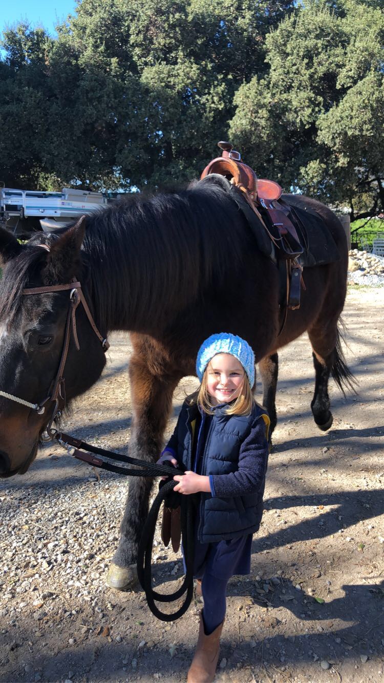 Blue Banner Riding Academy | 11590 New Ave, Gilroy, CA 95020, USA | Phone: (408) 417-9053