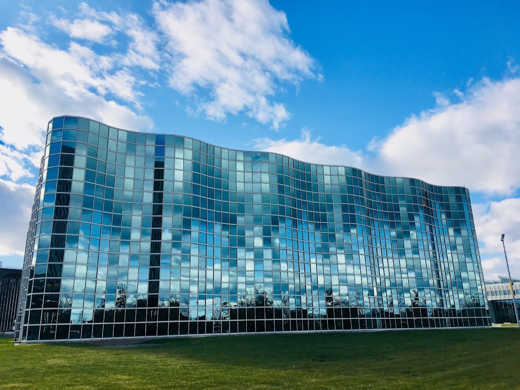 Office of Undergraduate Admissions | University Hall, Albany, NY 12206, USA | Phone: (518) 442-5435