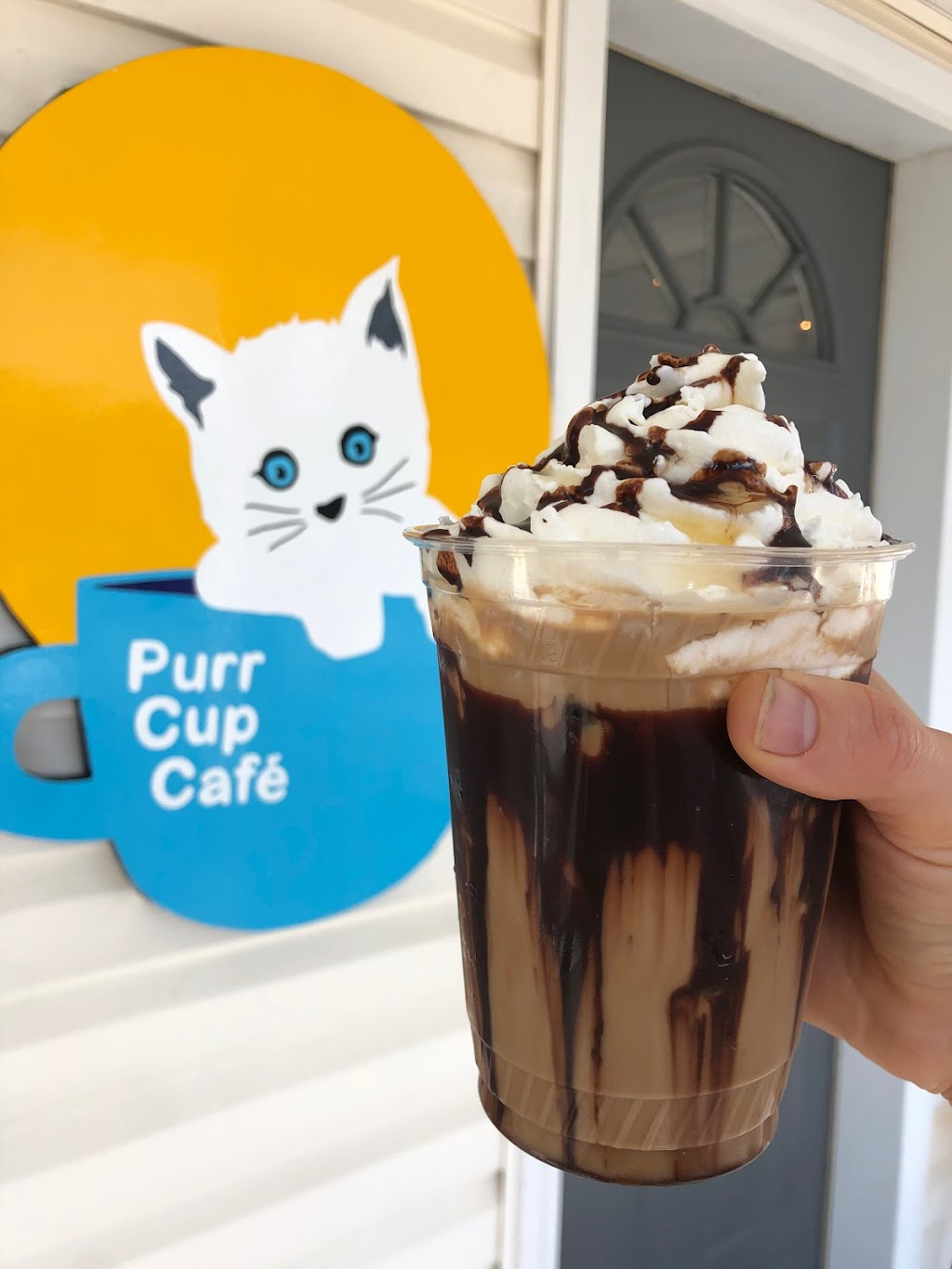 Purr Cup Cafe | 210 Prospect Ave, Raleigh, NC 27603, USA | Phone: (919) 322-4003