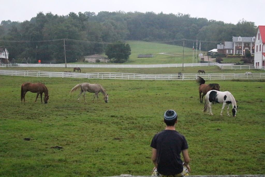 Greenmoor Common Equestrian Center | 255 Georgetown Rd, Canonsburg, PA 15317, USA | Phone: (412) 841-6131