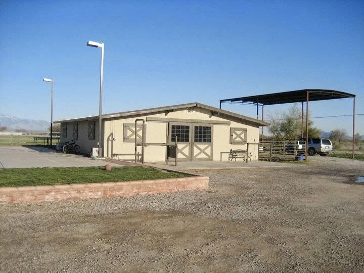 Marana Veterinary Clinic | 13800 N Luckett Rd, Marana, AZ 85653, USA | Phone: (520) 682-6996