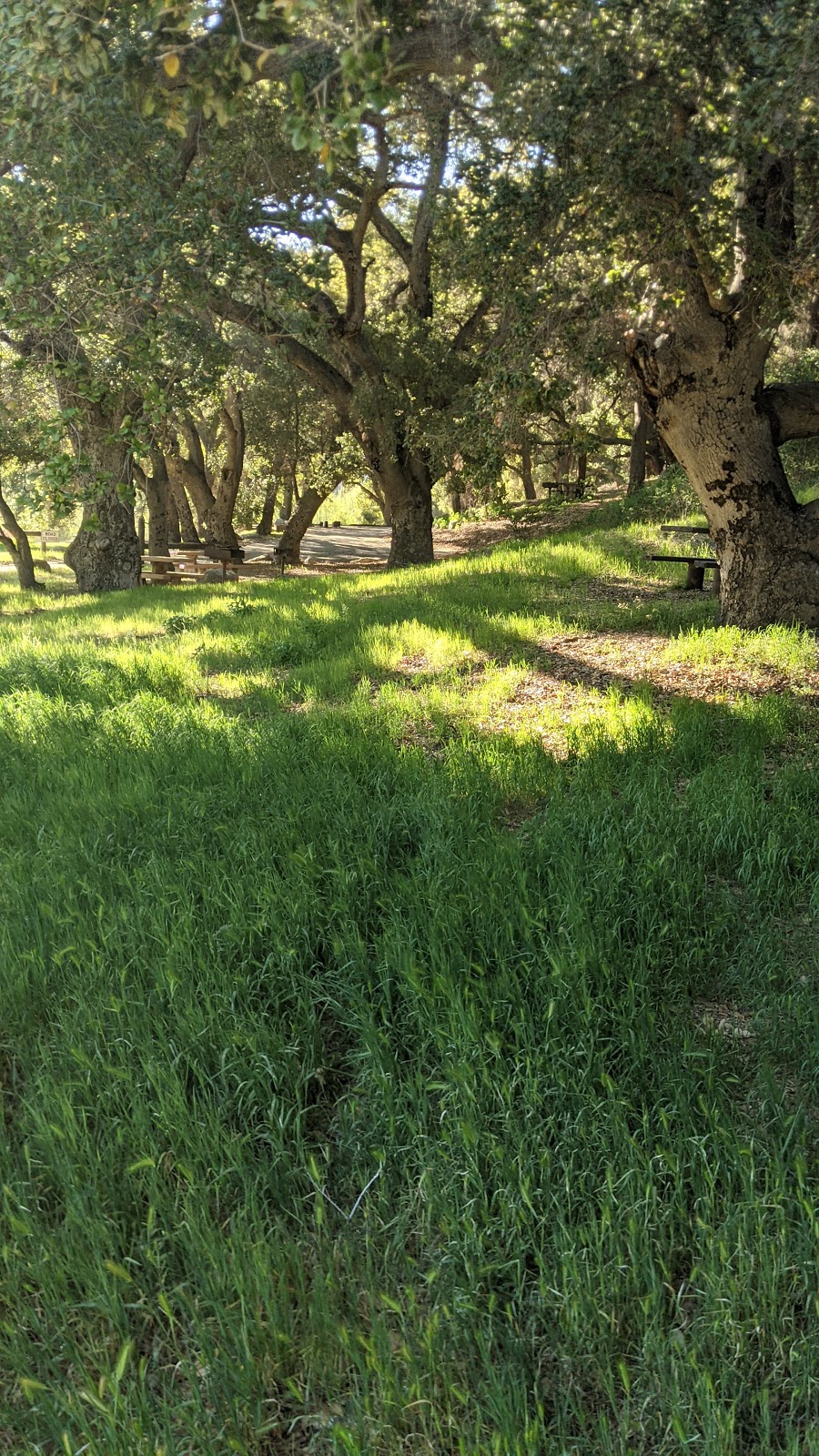 Lower Oso Picnic Area | 14 Paradise Rd, Santa Barbara, CA 93105, USA | Phone: (805) 434-1996