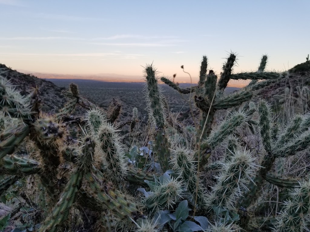 Mesquite Canyon Trail | Mesquite Canyon Trail, Waddell, AZ 85355, USA | Phone: (623) 935-2505