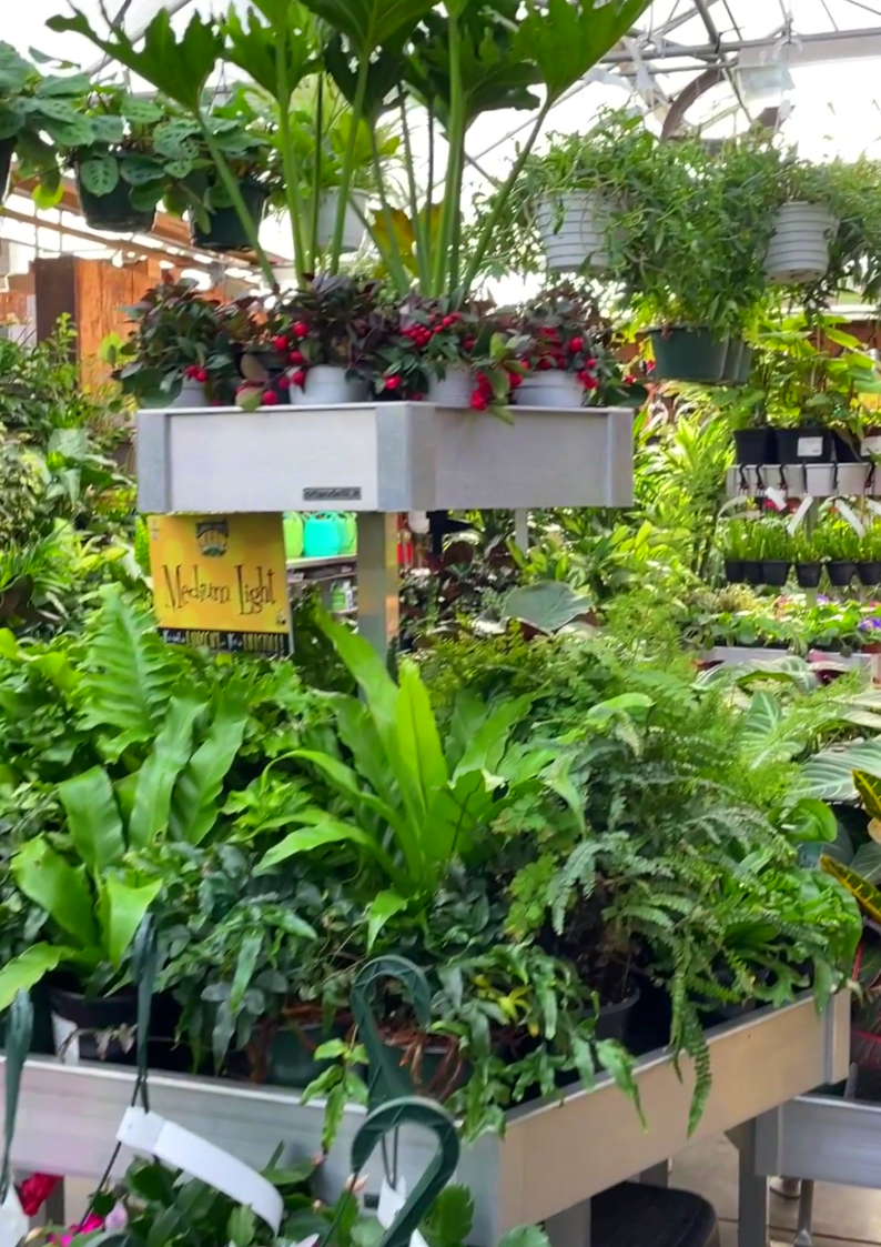 Garden Supply Company | 1421 Old Apex Rd, Cary, NC 27513, USA | Phone: (919) 460-7747